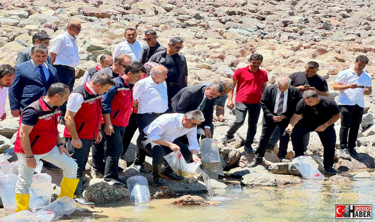 Karacaören Göleti'ne 10.000 Sazan Yavrusu Bırakıldı