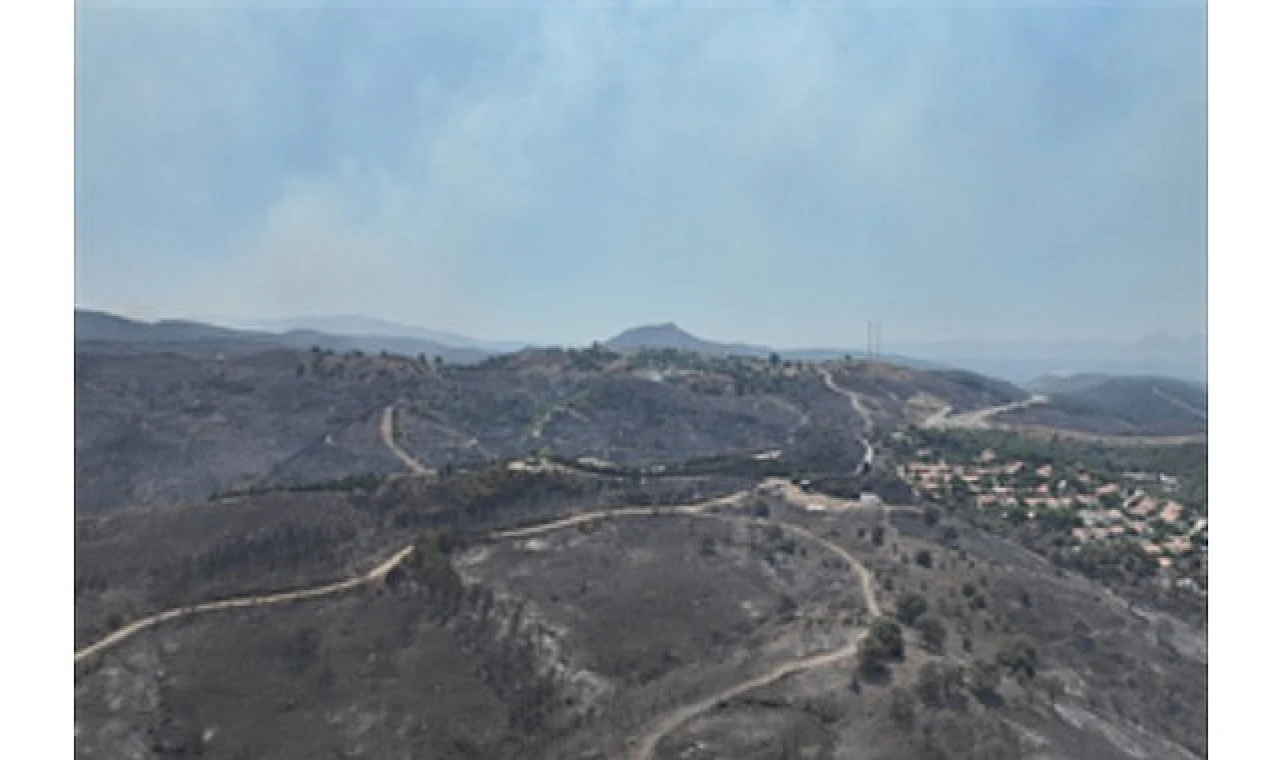 Seferihisar ve Menderes yangınlarının bilançosu ağır