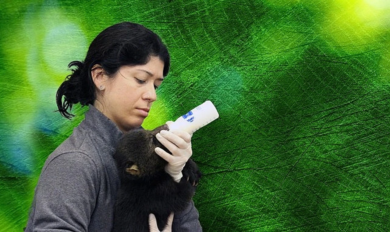 'Tampa’nın Sırları: Vahşi Taraf’, 5 Mayıs Pazartesi Günü 20.00’de National Geographic WILD Ekranlarında!