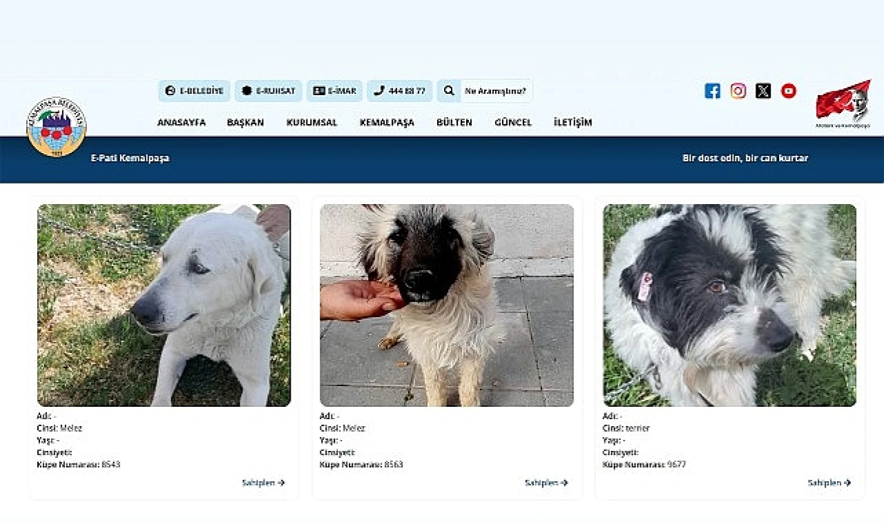 Sıcak Yuvalara Dijital Köprü: E-Pati Kemalpaşa