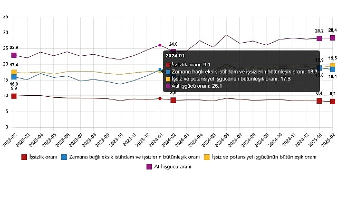 İşgücü İstatistikleri, Şubat 2025